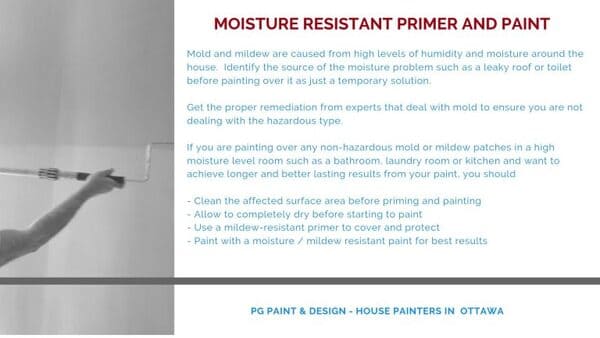 painting over mold with mold and mildew resistant primer paint